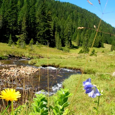 Almsonne 아파트 *