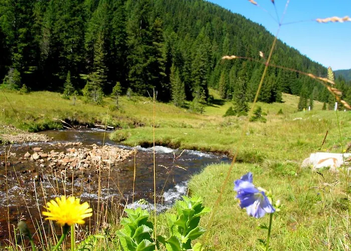 Almsonne Appartement *